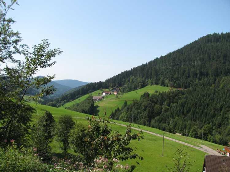 Gaestehaus Gerda Bad Peterstal-Griesbach Eksteriør billede