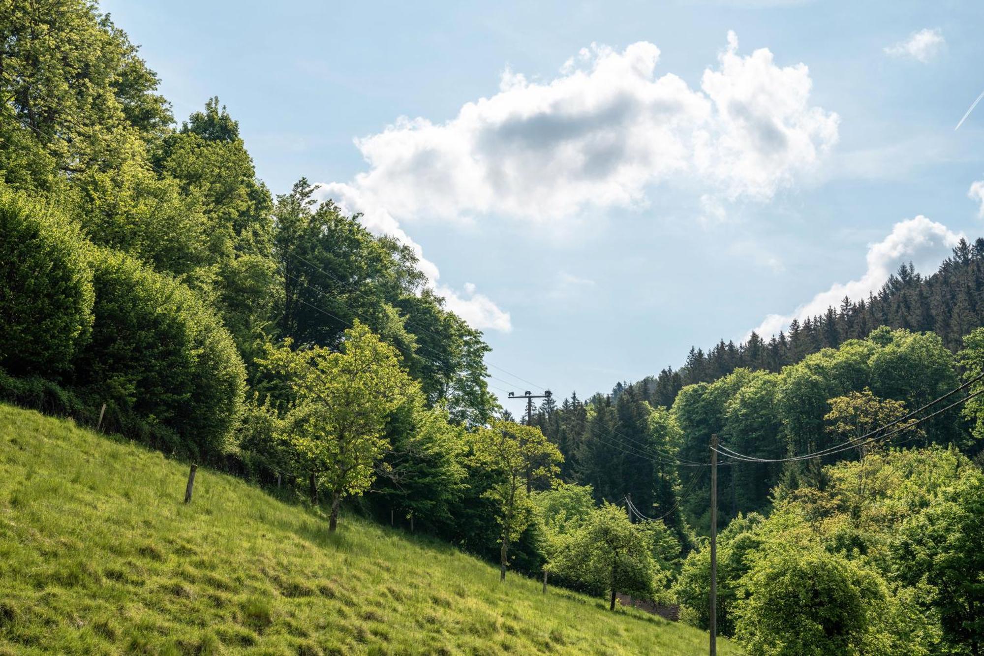 Gaestehaus Gerda Bad Peterstal-Griesbach Eksteriør billede